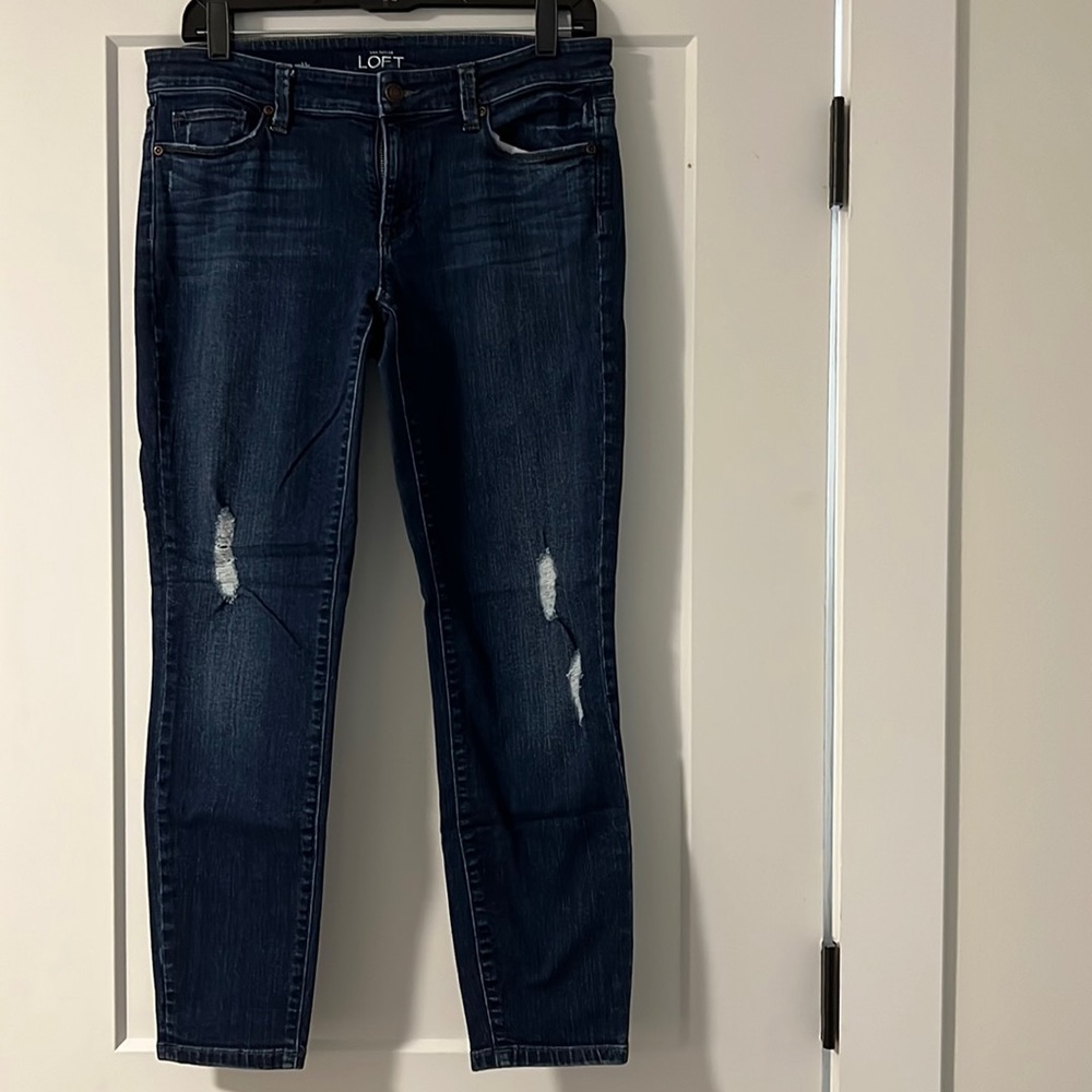 Ann Taylor Loft Modern Skinny Ankle